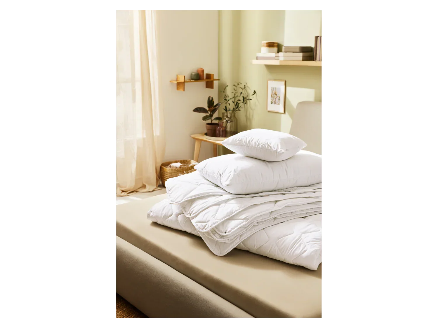 LIVARNO home Oreiller, 60 x 60 cm