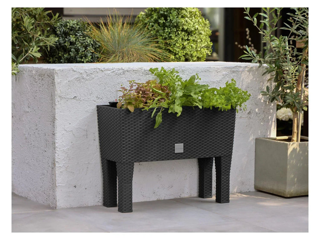 PARKSIDE Table de culture 2 en 1