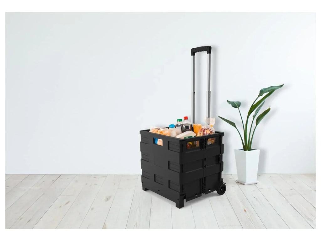 LIVARNO home Caisse de transport  roulettes