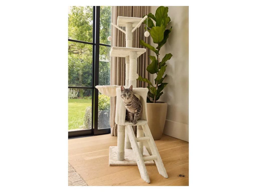 zoofari Arbre  chat, avec 5 niveaux
