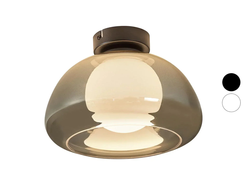 LIVARNO home Plafonnier ou applique  LED
