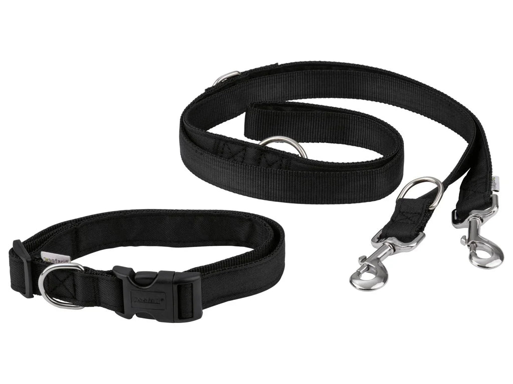 zoofari Laisse ou Collier avec laisse pour chien