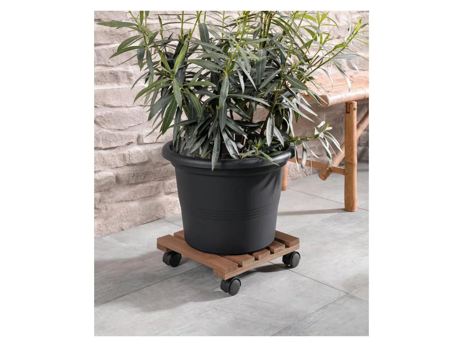 PARKSIDE Support roulant pour plantes