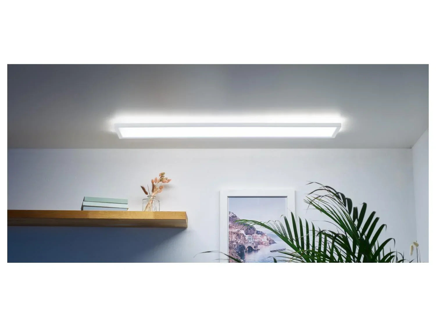 LIVARNO home Panneau LED avec variateur de blanc, 20,5 W