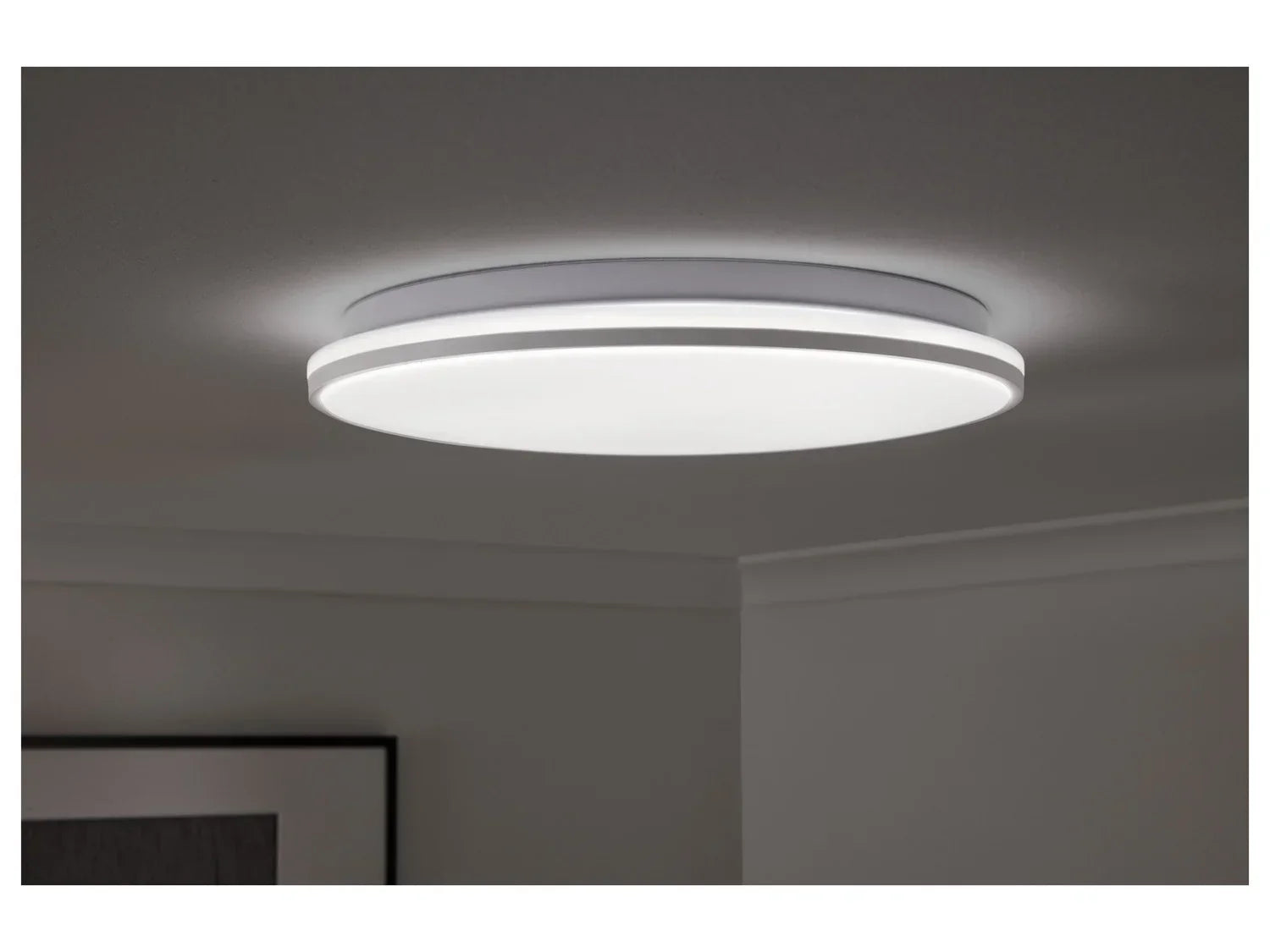 LIVARNO home Plafonnier  LED, 14,5 W