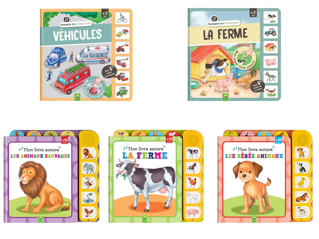 Livre sonore