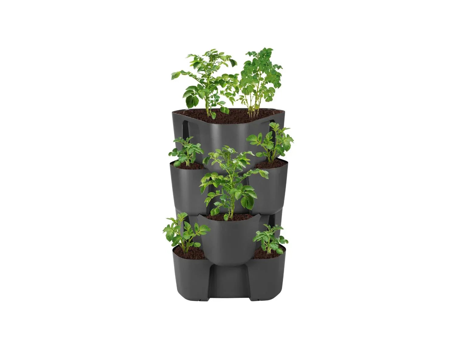 PARKSIDE Lot de 4 tours de culture pour pommes de terre ou plantes