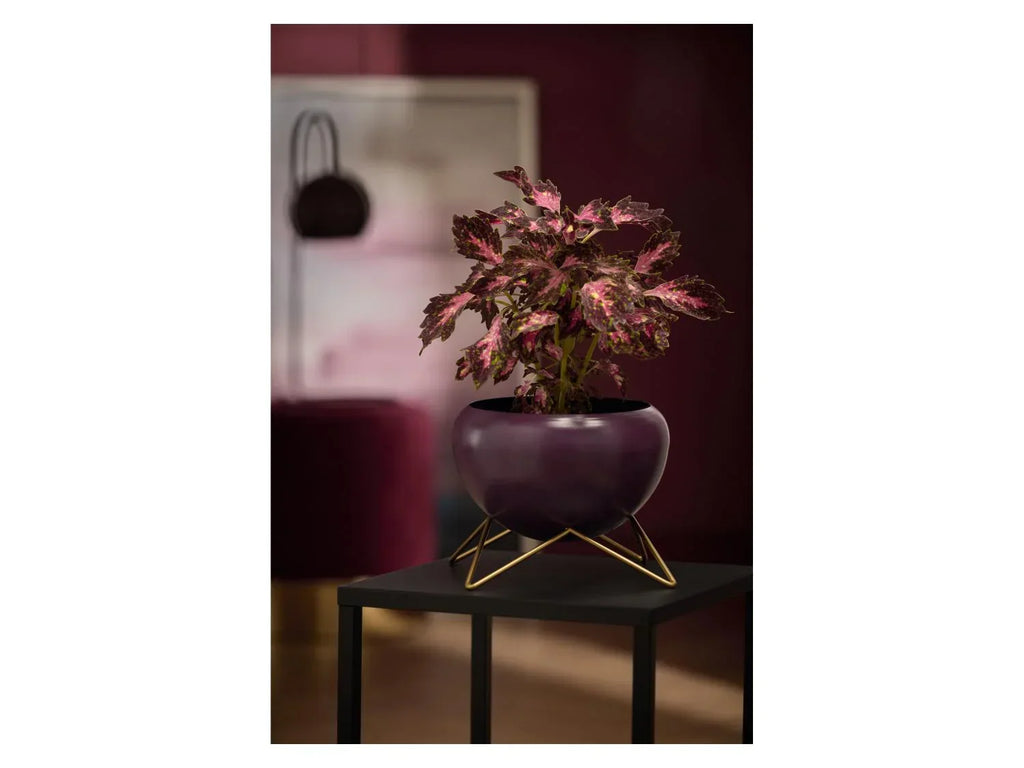 LIVARNO home Pot(s) de fleurs dcoratif(s)