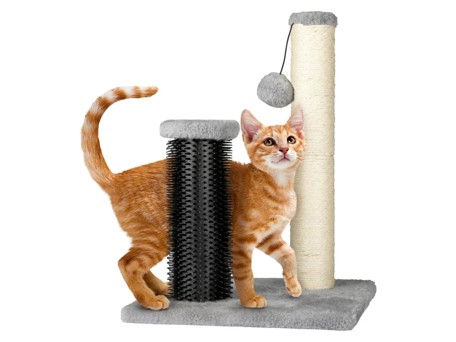 zoofari Griffoir avec planche ou brosse de massage