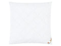 LIVARNO home Oreiller Polygiene, 60 x 60 cm