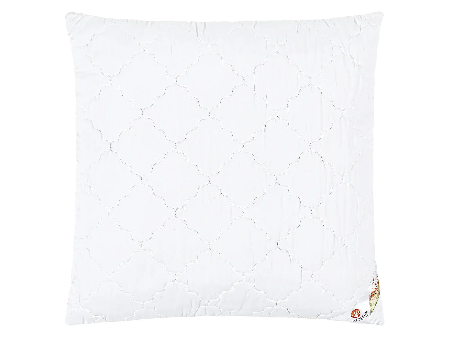 LIVARNO home Oreiller Polygiene, 60 x 60 cm