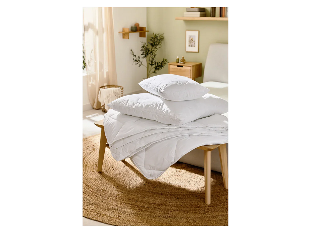 LIVARNO home Oreiller, 60 x 60 cm