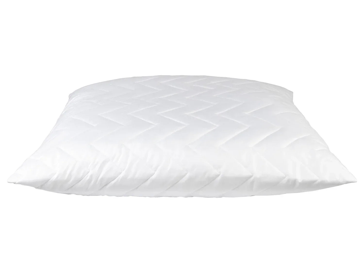 LIVARNO home Oreiller Aloe Vera, 60 x 60 cm