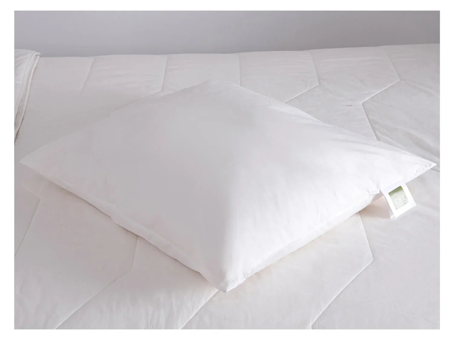 TXL Comfort Oreiller de luxe en laine, 60 x 60 cm