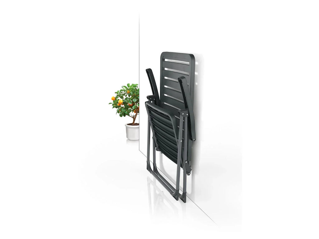 LIVARNO home Chaise pliante rglable en 6 positions