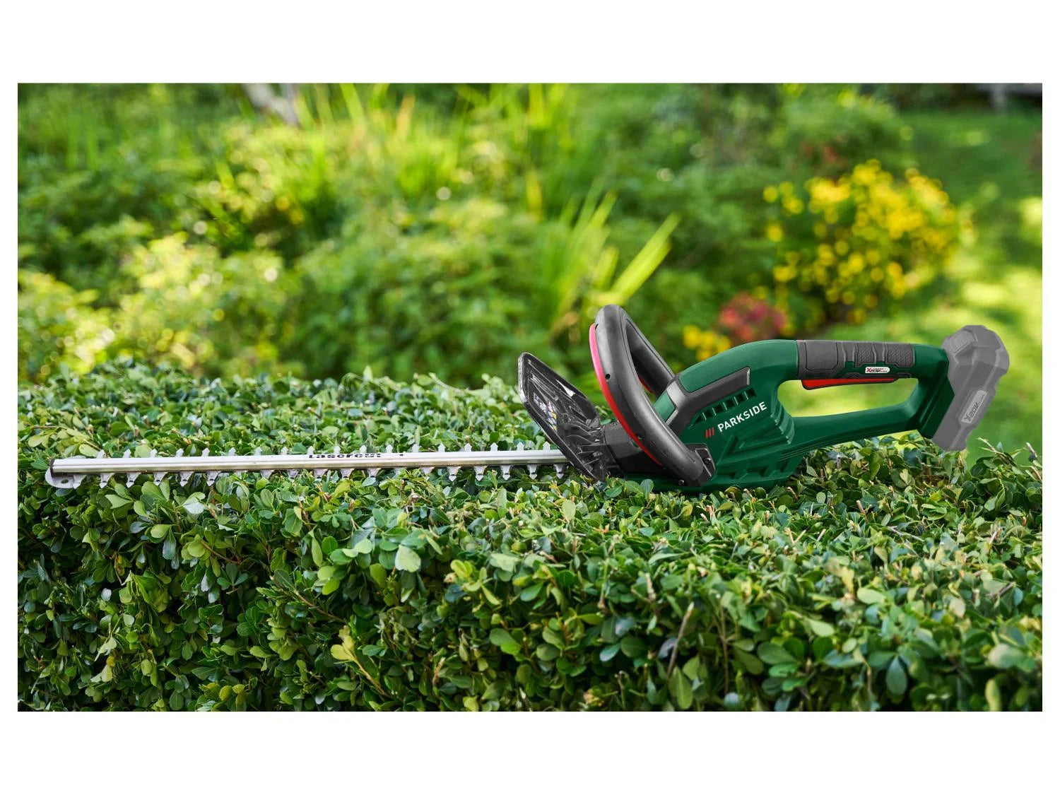 PARKSIDE Taille-haies sans fil + chargeur + batterie, 20 V