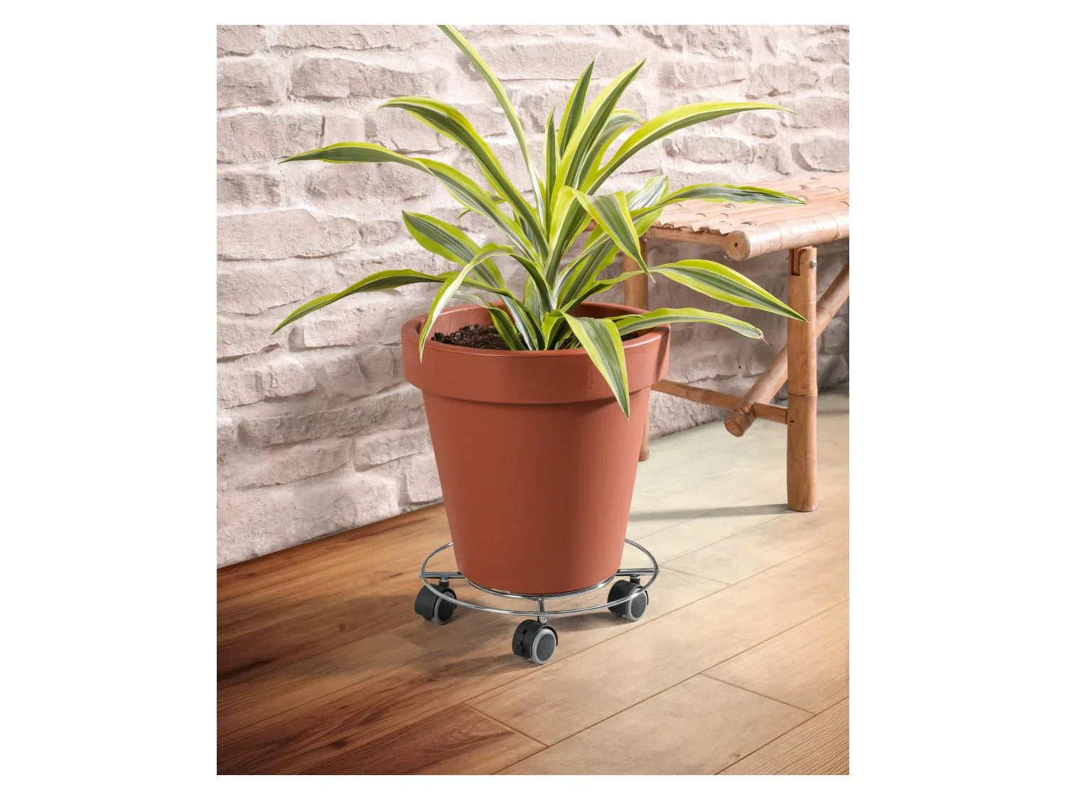 PARKSIDE Support roulant pour plantes