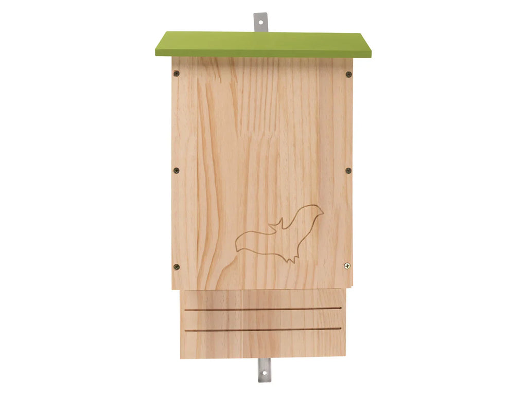 zoofari Gte  hrisson, gte  cureuil ou gte  chauve-souris