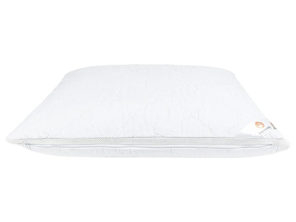 LIVARNO home Oreiller Polygiene, 60 x 60 cm