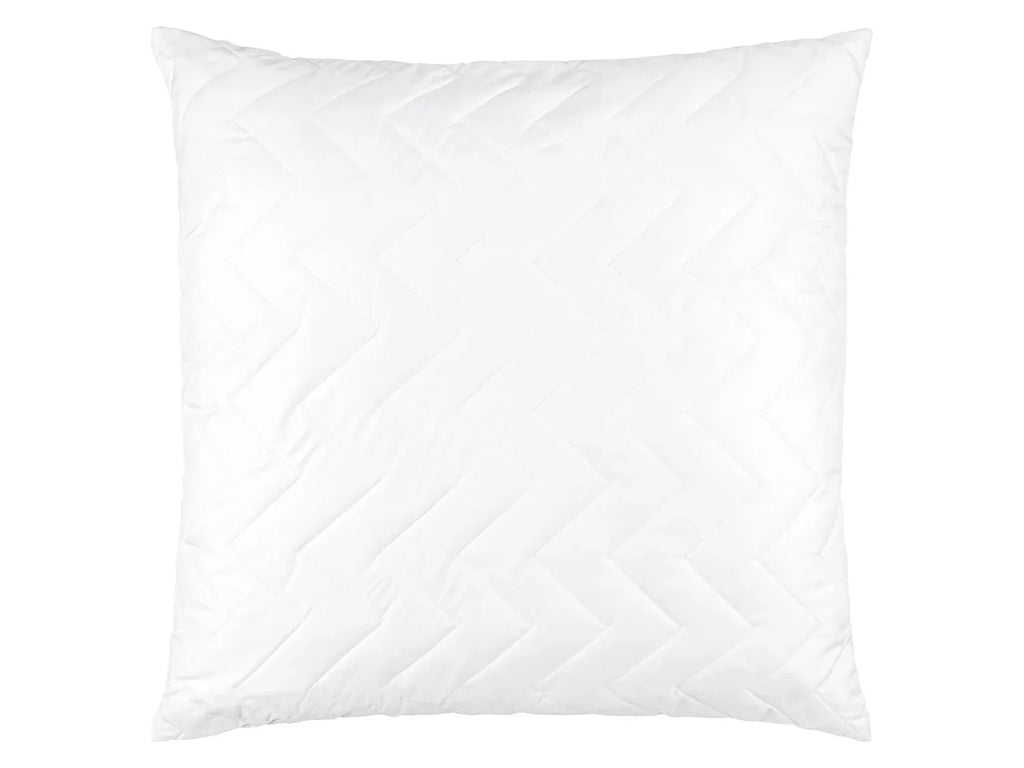 LIVARNO home Oreiller Aloe Vera, 60 x 60 cm