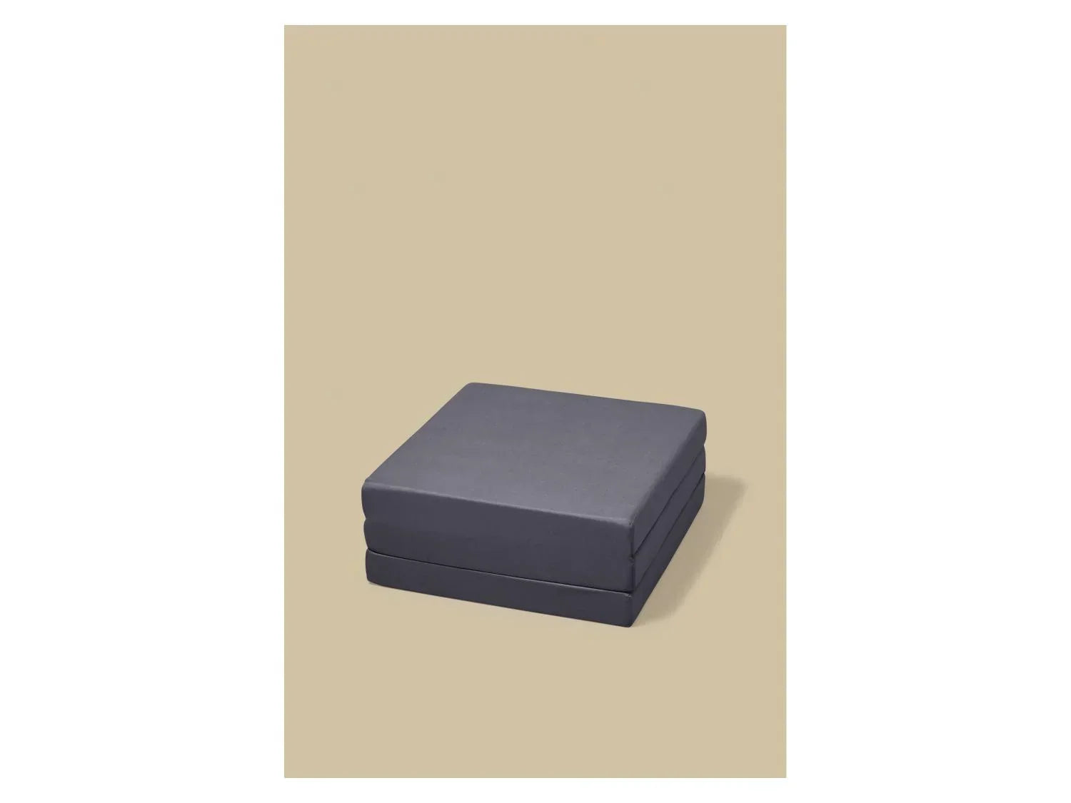 LIVARNO Matelas pliant 2-en-1, 190 x 65 cm