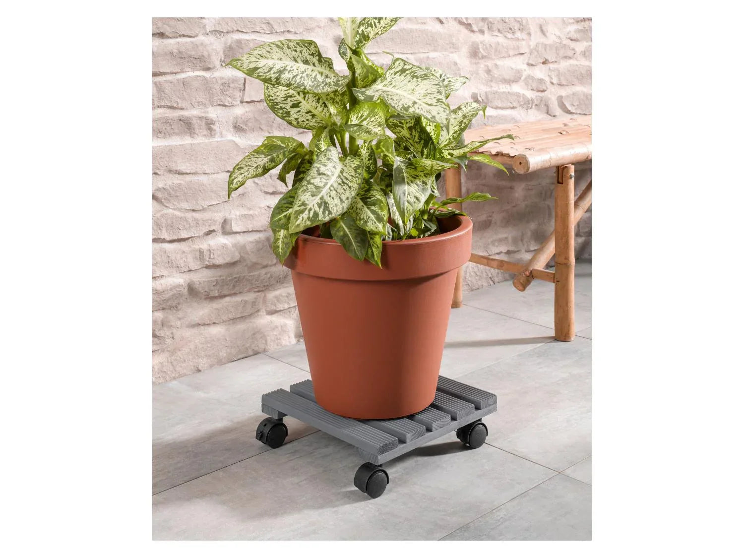 PARKSIDE Support roulant pour plantes